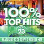 100% Top Hits, Vol. 23