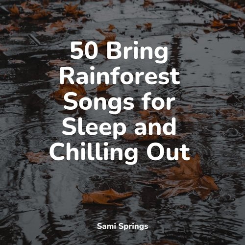 50 Bring Rainforest Songs for Sleep and Chilling Out