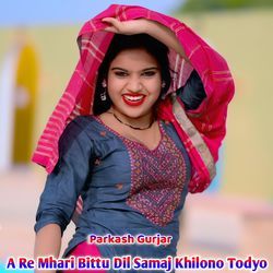 A Re Mhari Bittu Dil Samaj Khiono Todyo