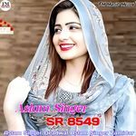 Aslam Singer SR 8549