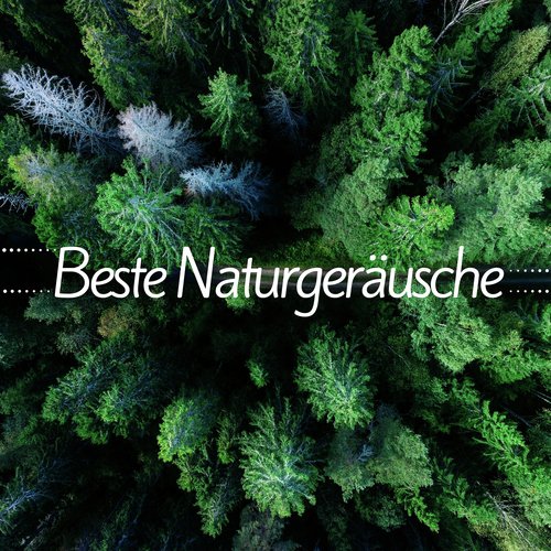 Beste Naturgeräusche: Heilung, Reiki, Spa, Massage, Therapie Musik, Gelassenheit_poster_image