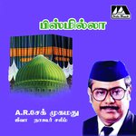 Ullasa Pothaiyila