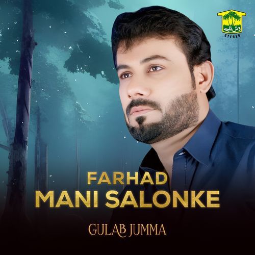 Farhad Mani Salonke cover art