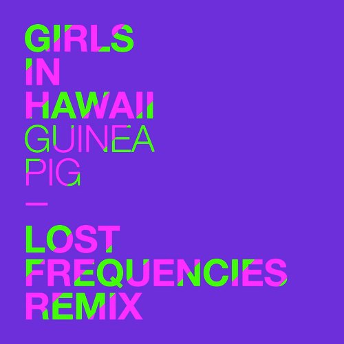 Guinea Pig (Lost Frequencies Remix)