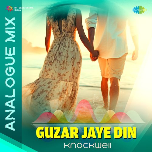 Guzar Jaye Din - Analogue Mix