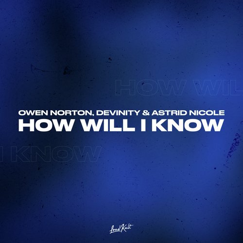 How Will I Know_poster_image