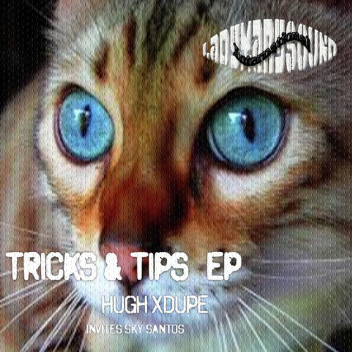 Ladymarysound: Tricks & Tips EP