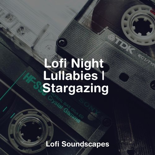 Lofi Night Lullabies | Stargazing_poster_image