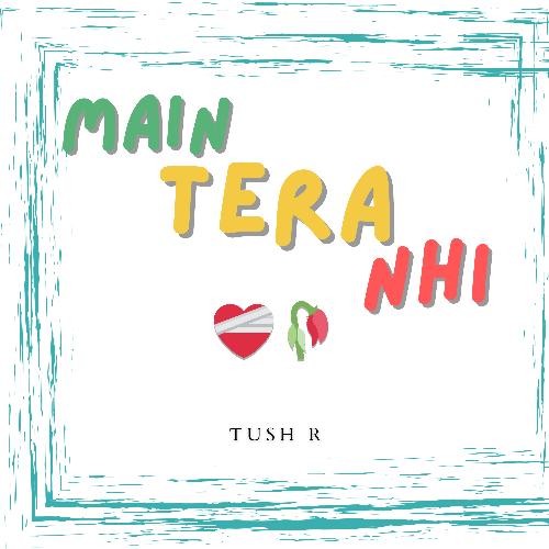 Main Tera Nahi