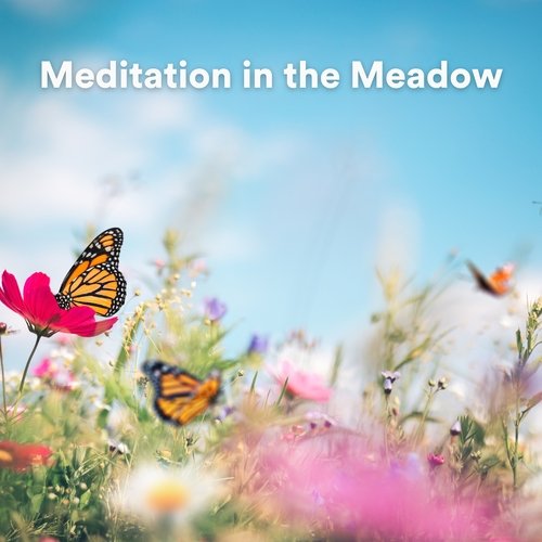 Meditation in the Meadow