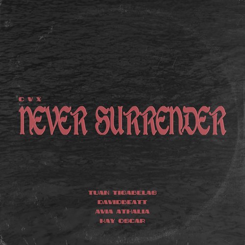 Never Surrender_poster_image