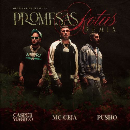 Promesas Rotas (Remix)_poster_image