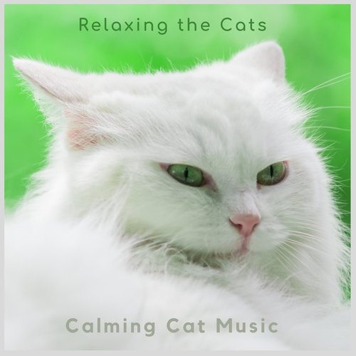 Relaxing the Cats_poster_image