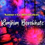 Rimjhim Borokhate