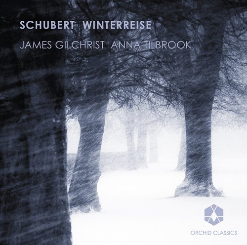 Schubert: Winterreise_poster_image