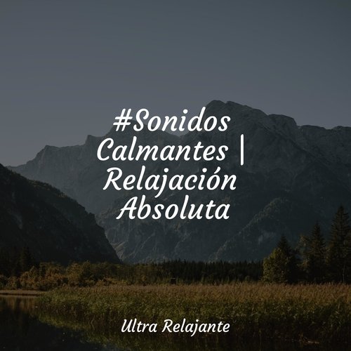 #Sonidos Calmantes | Relajación Absoluta_poster_image