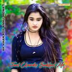 Tant Chamke Bakhal Me artwork