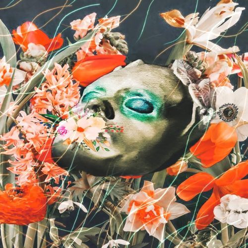 Little Dragon cover art