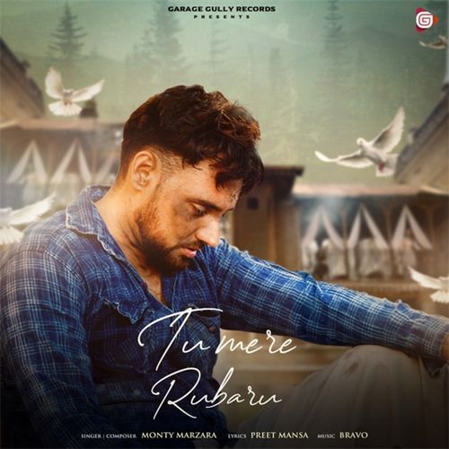 Tu Mere Rubaru_poster_image