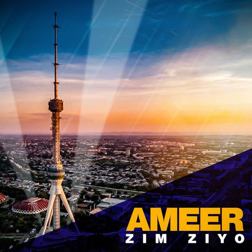 Zim Ziyo