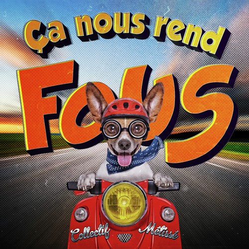 Ça nous rend fous (Willy William Remix)