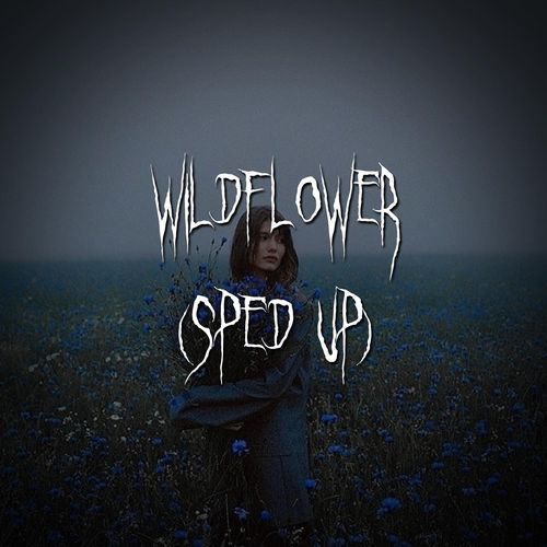 wildflower (sped up) cover art