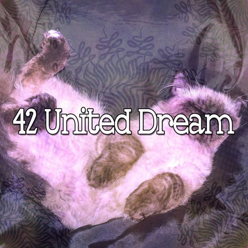 42 United Dream