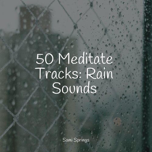 50 Meditate Tracks: Rain Sounds_poster_image