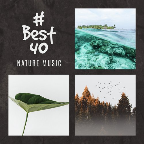 # Best 40 (Nature Music for Relaxation, Meditation, Spa, Wellness & Deep Sleep)