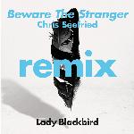 Beware The Stranger (Chris Seefried's Ambient Excursion) [feat. Trombone Shorty] (Radio Edit)