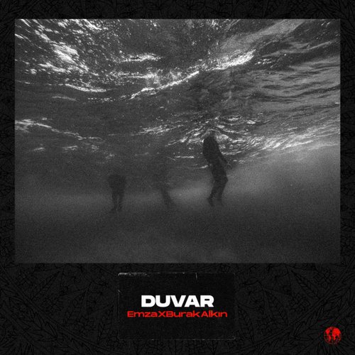 DUVAR_poster_image