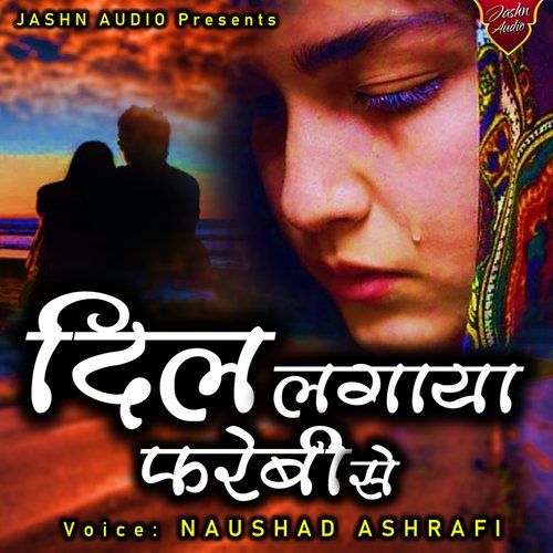 Dil Lagaya Farebi Se