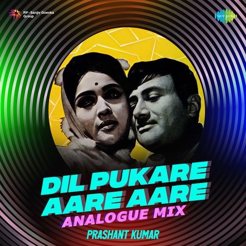 Dil Pukare Aare Aare - Analogue Mix