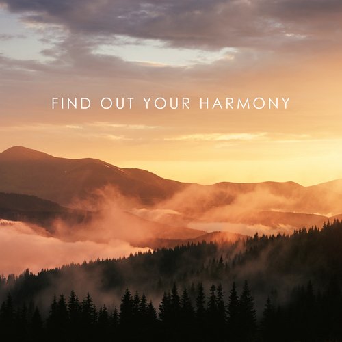 Find Out Your Harmony: Relaxing Nature Sounds to Unwind_poster_image