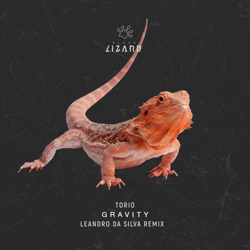 Gravity (Leandro Da Silva Extended Remix) cover art
