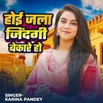 Hoi Jala Jindgi Bekare Ho