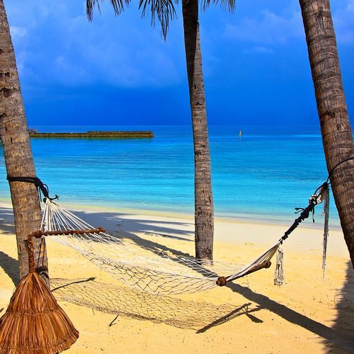 In an Hammock on a Tropical Beach