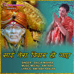 Jab Dhyan Karun Sai Tera Deedar Ho Jaye