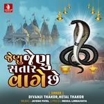 Jenu Jenu Satar Vage Chhe