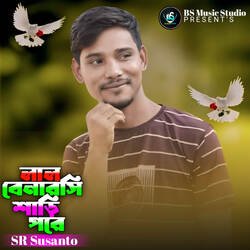 Lal Benaroshi Sari Pore