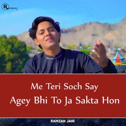 Me Teri Soch Say Agey Bhi To Ja Sakta Hon-AiMucDViT10