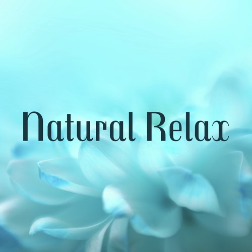 Calm Relaxation cover art