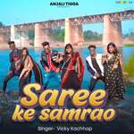 Saree Ke Samrao artwork