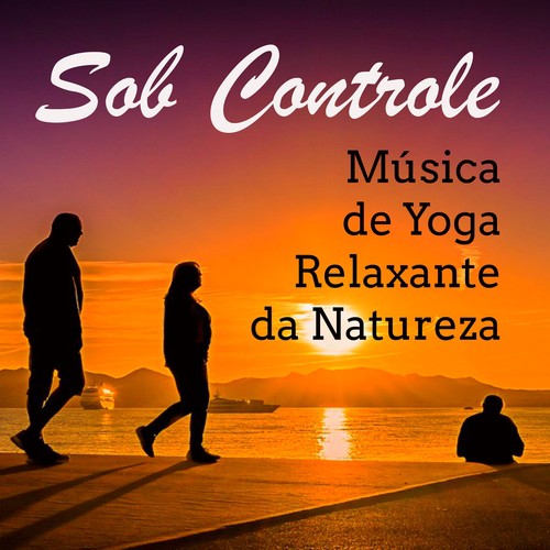Meditação Maestro cover art