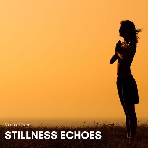 Stillness Echoes