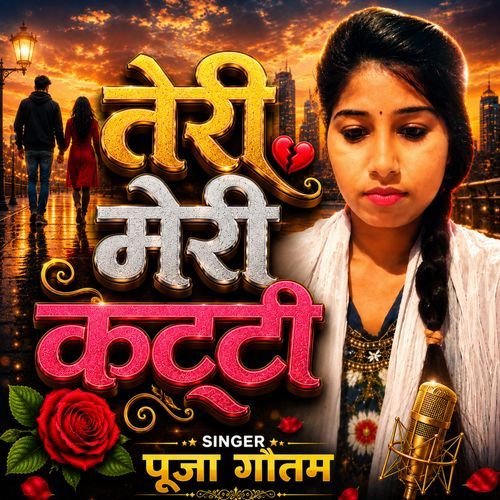 Teri Meri Katti