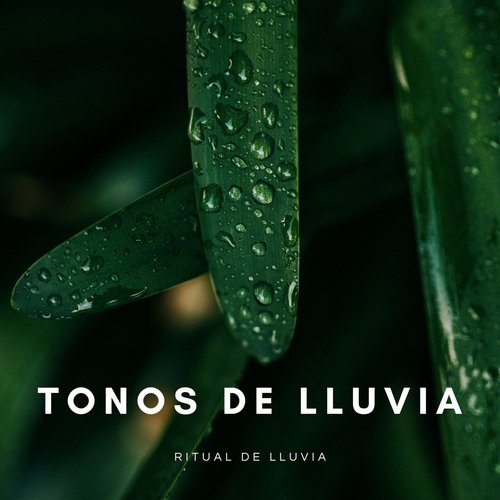 Ruido De Lluvia cover art