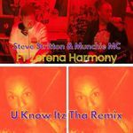 U Know Itz Tha (feat. Zerena Harmony) (Remix) artwork