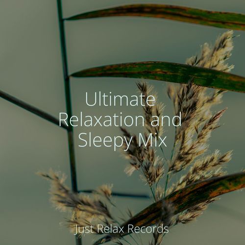 Ultimate Relaxation and Sleepy Mix