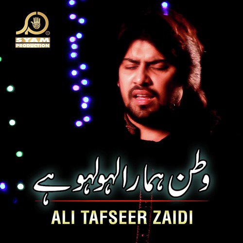Ali Tafseer Zaidi